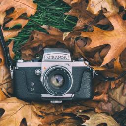 Spółka Rzeszowska - Vintage aparat Miranda FV leżący na ziemi wśród opadłych, brązowych liści dębu i zielonej trawy, z widocznym paskiem na ramię.