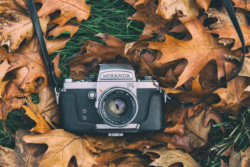 Vintage aparat Miranda FV leżący na ziemi wśród opadłych, brązowych liści dębu i zielonej trawy, z widocznym paskiem na ramię.