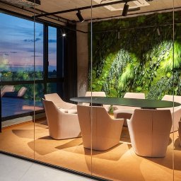 Office Plus Sp. z o o - Wykładziny Blizne łaszczyńskiego