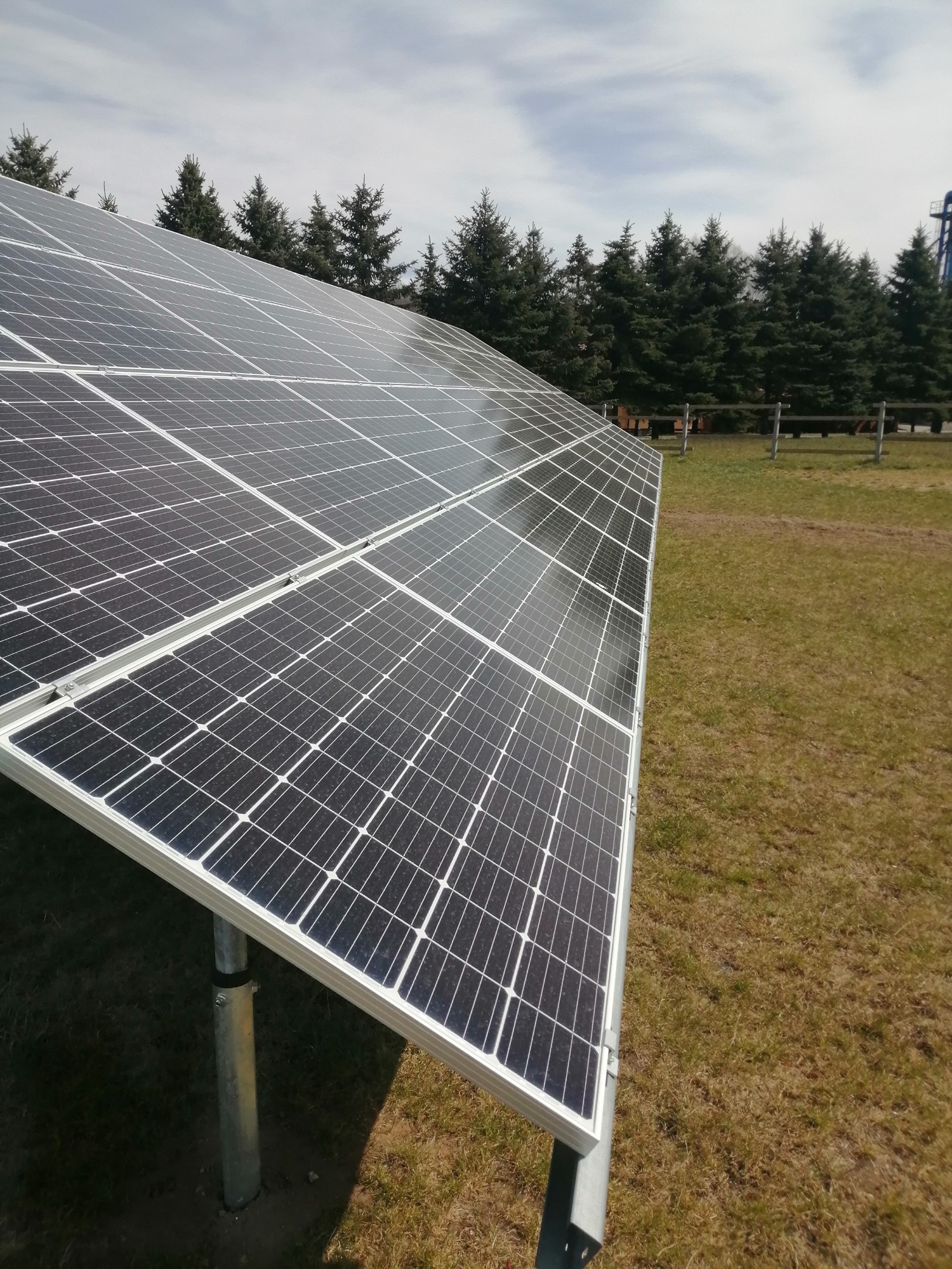 Rząd paneli słonecznych na metalowych wspornikach, zainstalowany na trawiastym terenie, z rzędem świerków w tle i fragmentem niebieskiej konstrukcji w oddali.