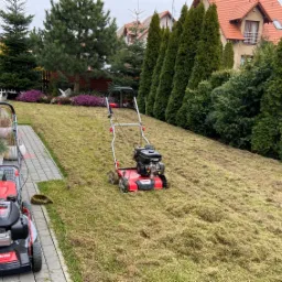 Dwie czerwone kosiarki na trawniku po wertykulacji, widoczne resztki suchej trawy, w tle tuje i dom z czerwoną dachówką.