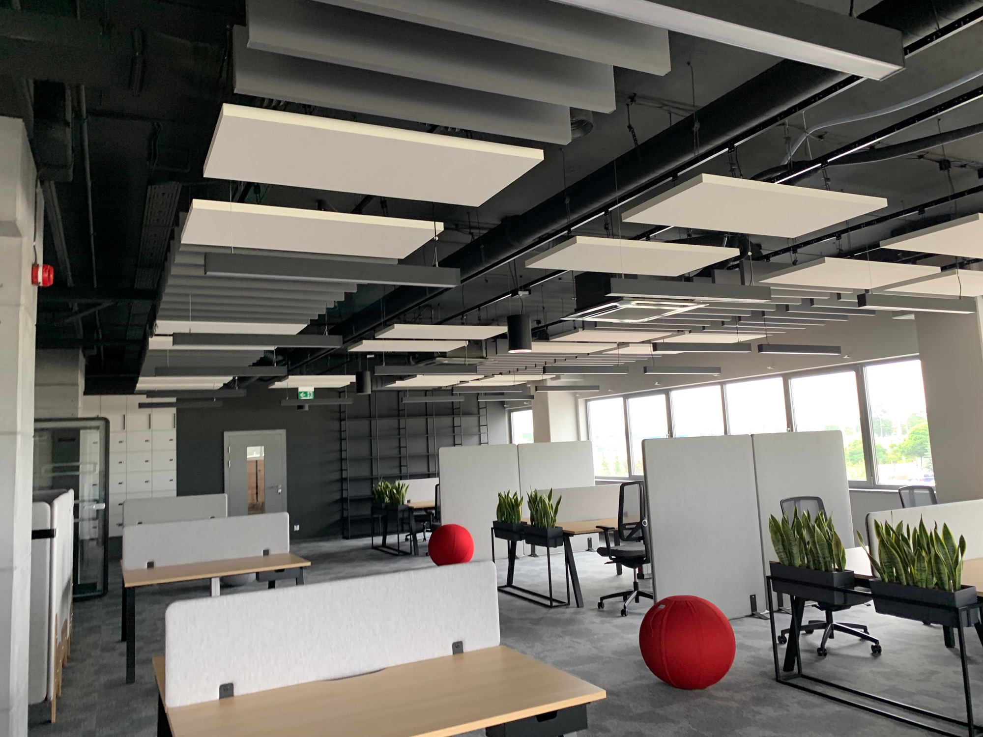 Nowoczesne biuro z sufitowymi panelami akustycznymi, widocznymi przewodami i oświetleniem, biurkami z przegrodami, roślinami w donicach i czerwonymi piłkami do siedzenia.