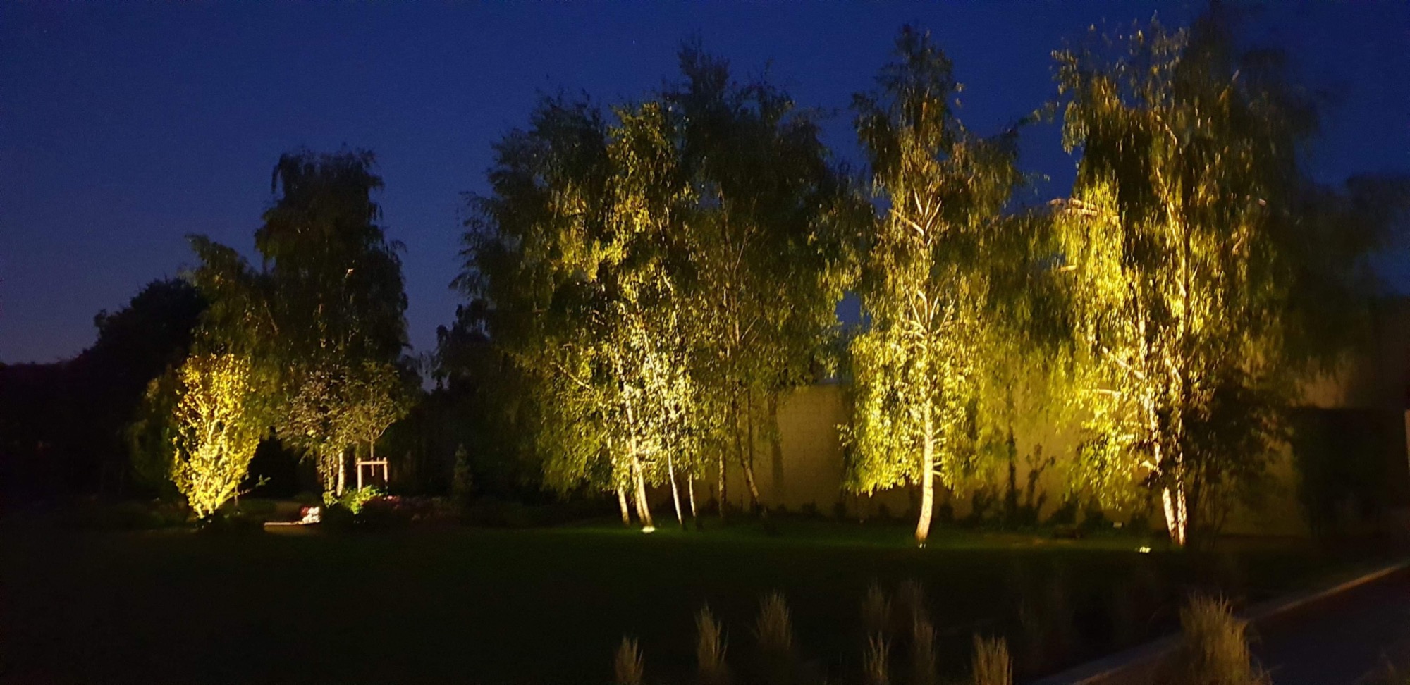 Oświetlony ogród w nocy: rząd drzew podświetlonych ciepłym, żółtym światłem, tworzącym dramatyczny efekt wizualny na tle ciemnego nieba.