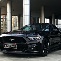 Ford Mustang GT 5.0 Performance