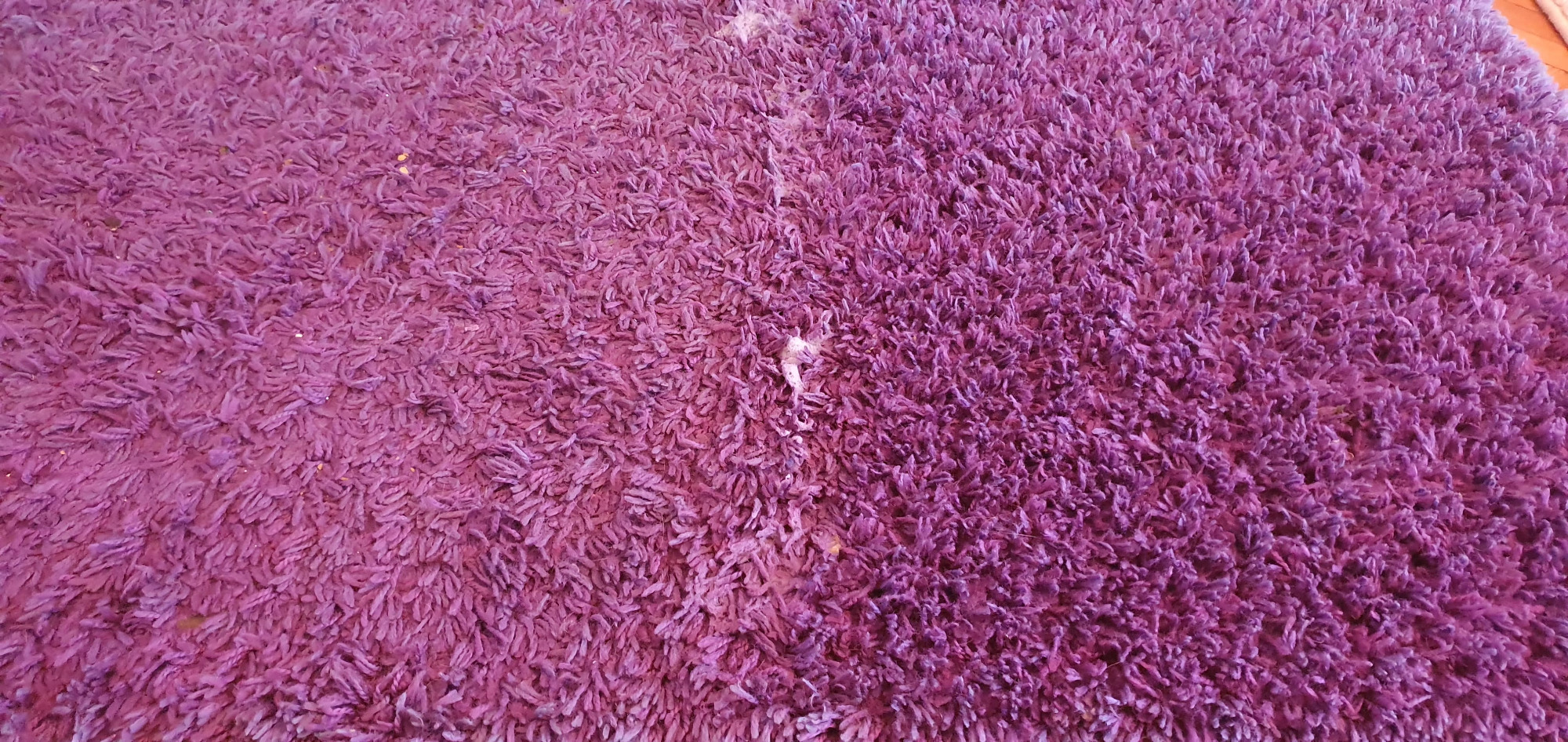 Fioletowy dywan shaggy z widocznymi plamami i nierównomiernym odcieniem koloru, sugerującym potrzebę odświeżenia.