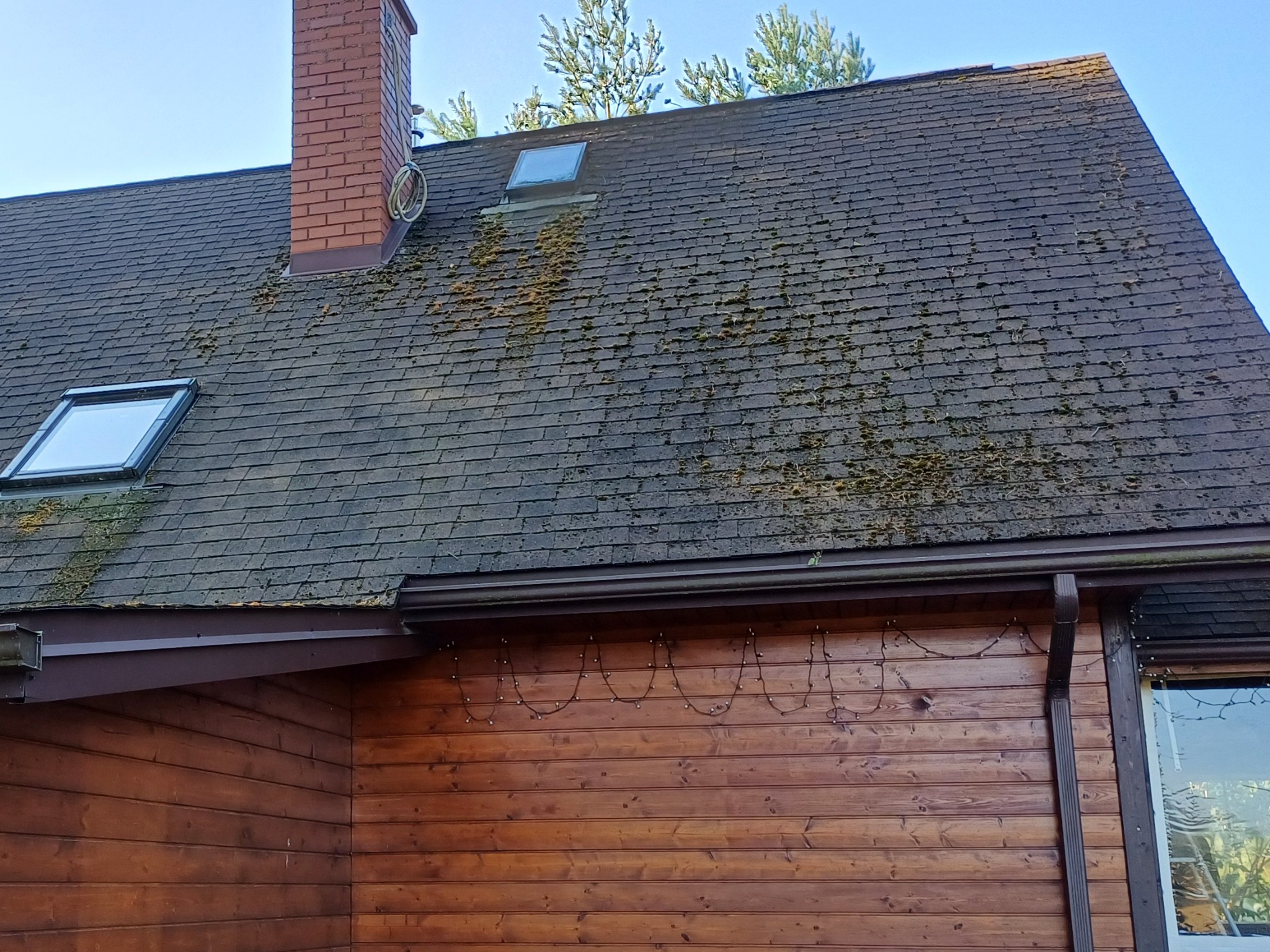 Ciemny dach z bitumicznej dachówki pokryty mchem, z dwoma oknami dachowymi i ceglanym kominem, brązowe rynny i drewniana ściana domu z dekoracyjnymi lampkami