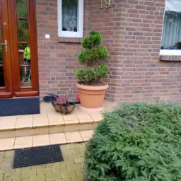 Wejście do domu z brązowej cegły z numerem 19, drzewko ozdobne w donicy, wrzosy w drewnianej doniczce, widoczny fragment chodnika i iglaków.