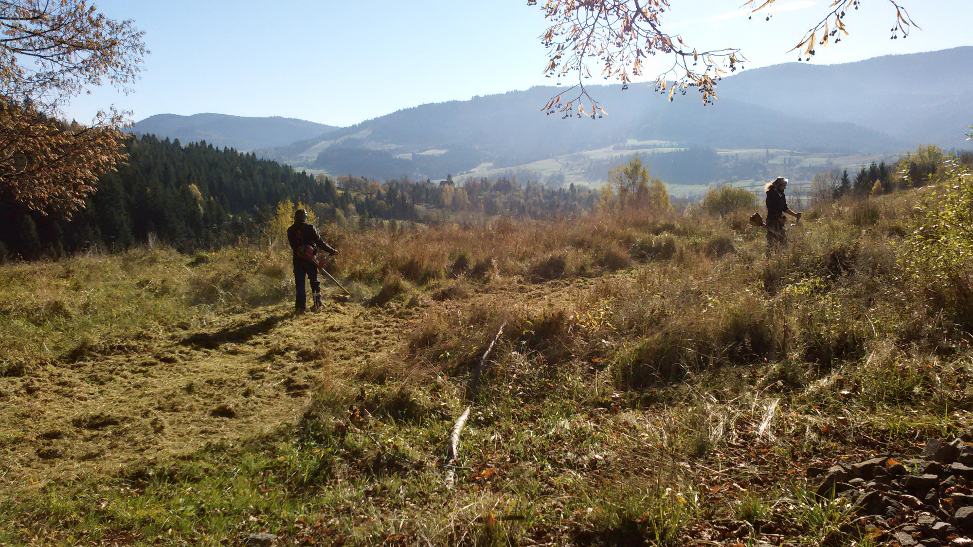 Dwóch pracowników z wykaszarkami spalinowymi na tle pagórkowatego krajobrazu podczas wycinania wysokiej trawy na zarośniętej łące w słoneczny dzień.