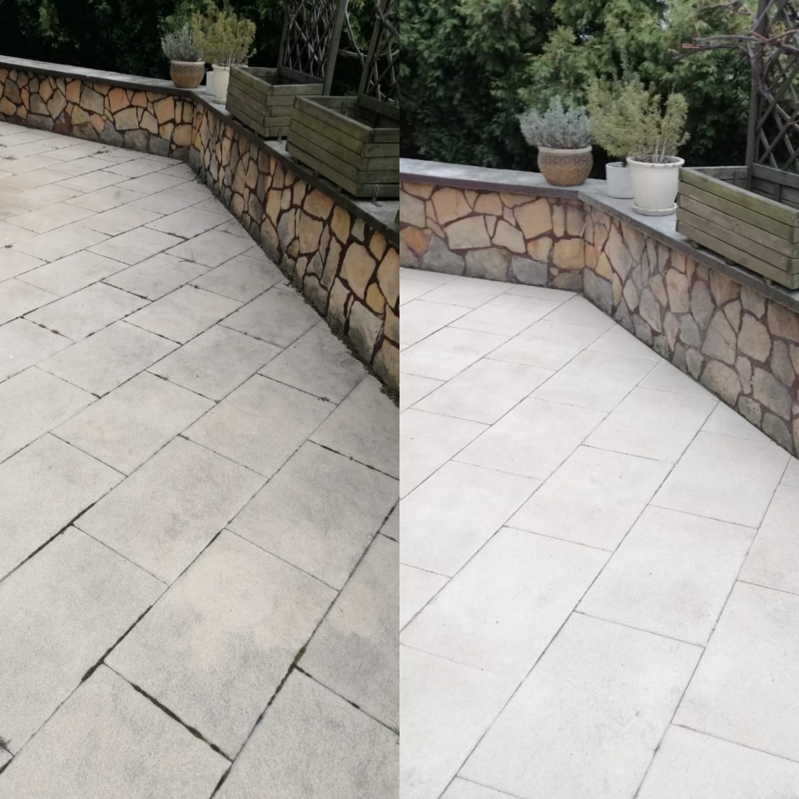 Porównanie czyszczenia kostki brukowej: część kostki wyczyszczona, ukazując jaśniejszy odcień, podczas gdy druga połowa pozostaje brudna, z widocznymi zabrudzeniami i mchem w fugach, obok...