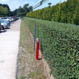 Koszenie trawy Bydgoszcz 3