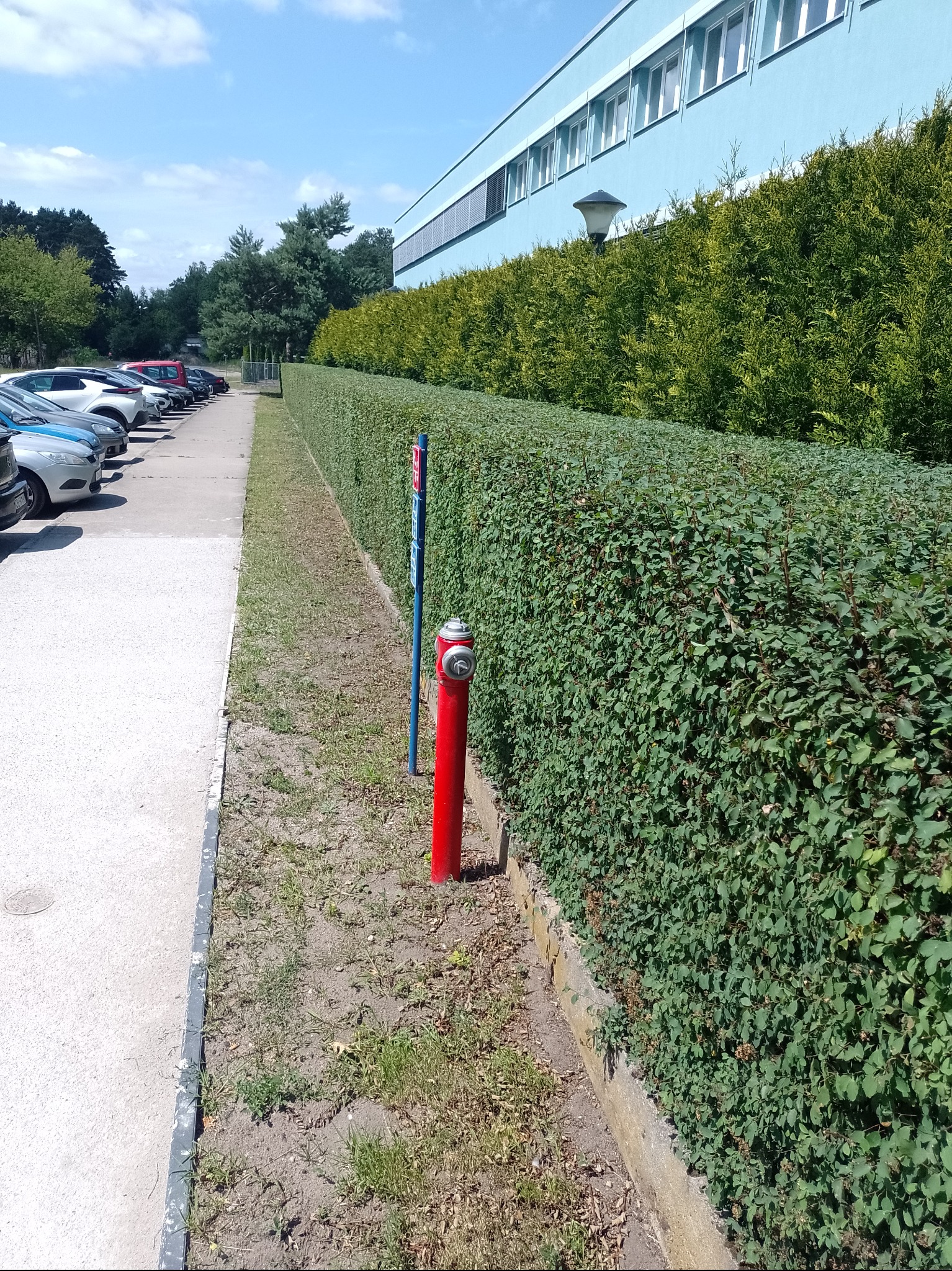 Równy żywopłot z zielonych krzewów oddziela parking od budynku. Czerwony hydrant na pierwszym planie. Słoneczny dzień.