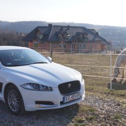 Sebastian Kołodziejczyk Tiases Taxi - Biały Jaguar XF zaparkowany na żwirowej drodze, w tle pastwisko z białym koniem, dom w stanie surowym i pagórkowaty krajobraz.