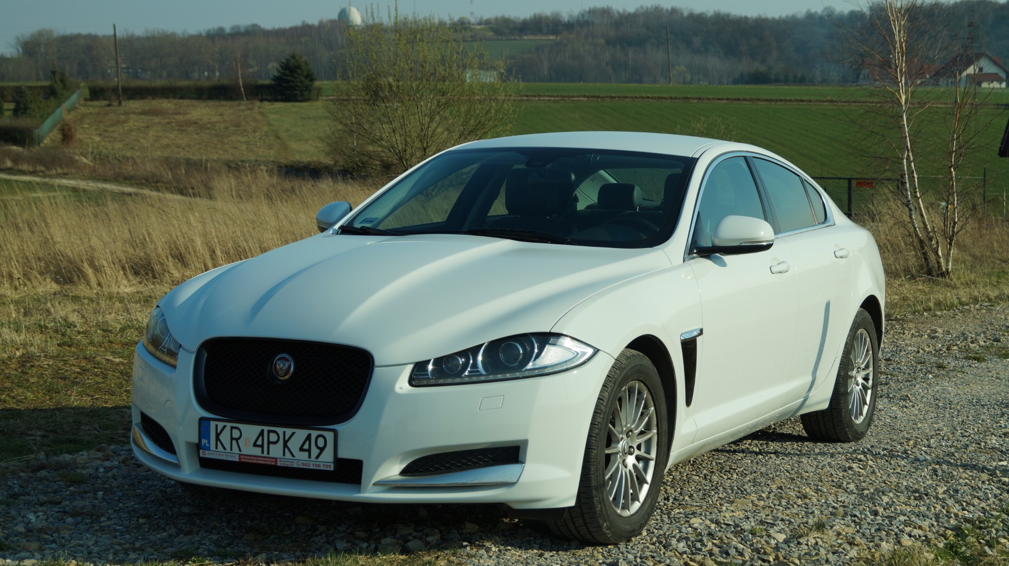 Biały Jaguar XF na żwirowej drodze z polskim numerem rejestracyjnym KR 4PK49, w tle pola i drzewa.