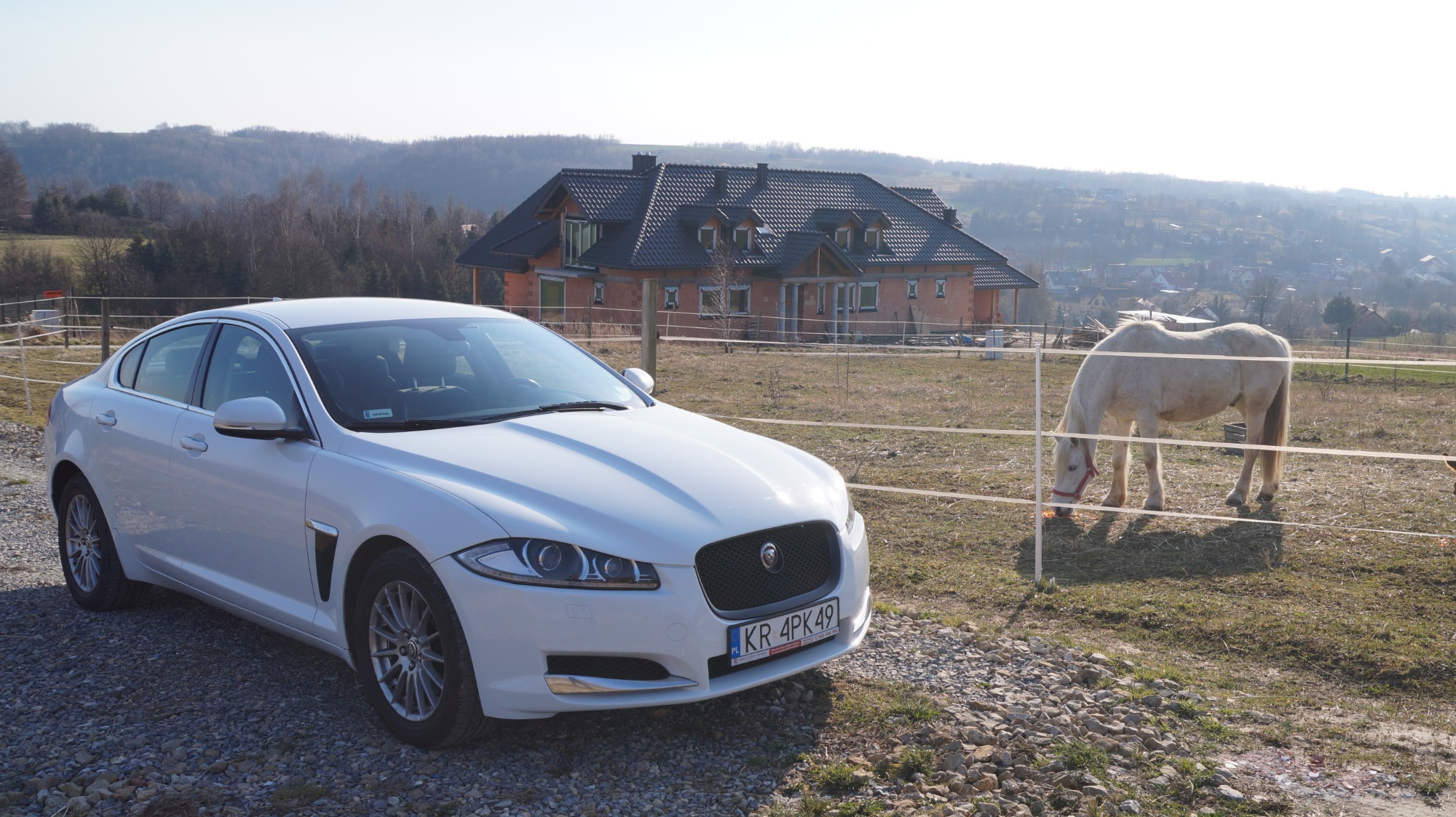 Biały Jaguar XF zaparkowany na żwirowej drodze, w tle pastwisko z białym koniem, dom w stanie surowym i pagórkowaty krajobraz.