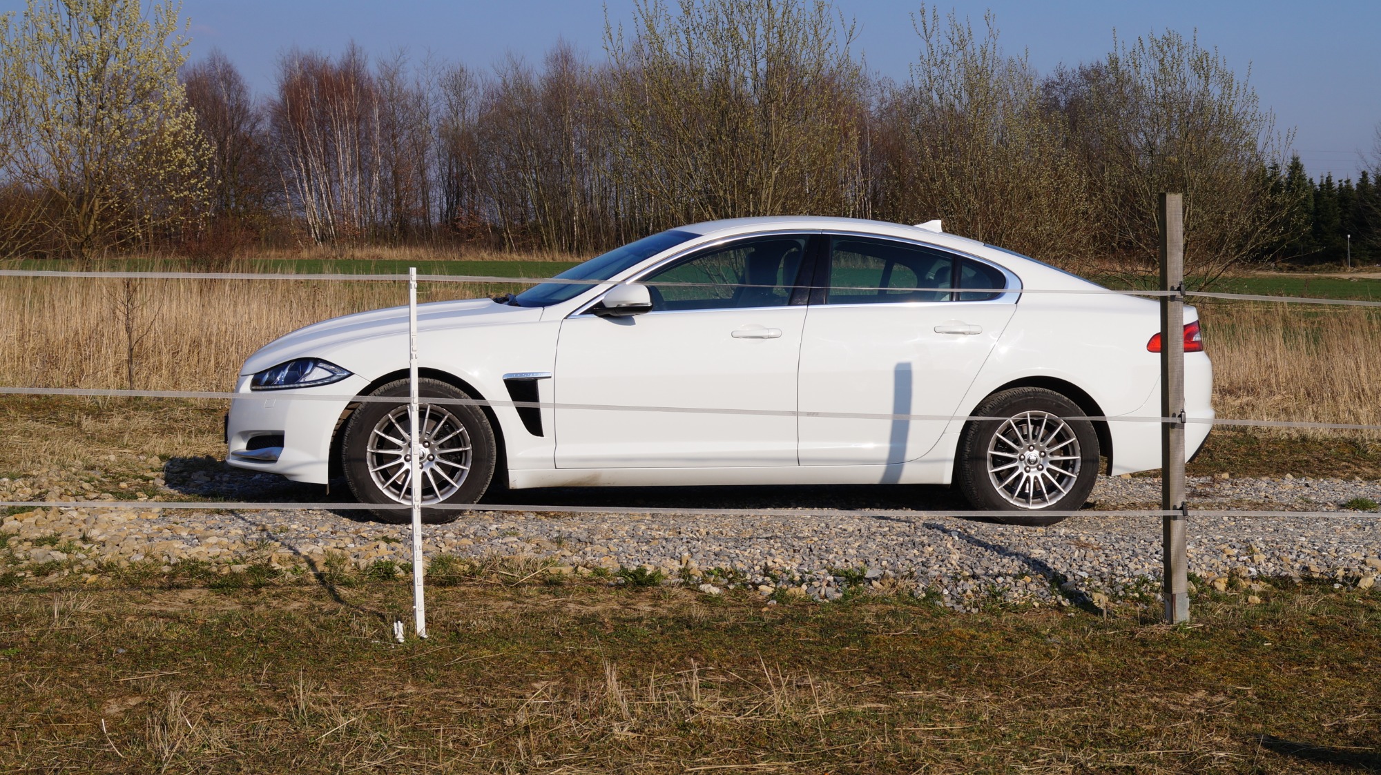 Biały samochód Jaguar XF zaparkowany na żwirowej drodze z widocznymi polami i drzewami w tle, częściowo zasłonięty przez białe ogrodzenie elektryczne.