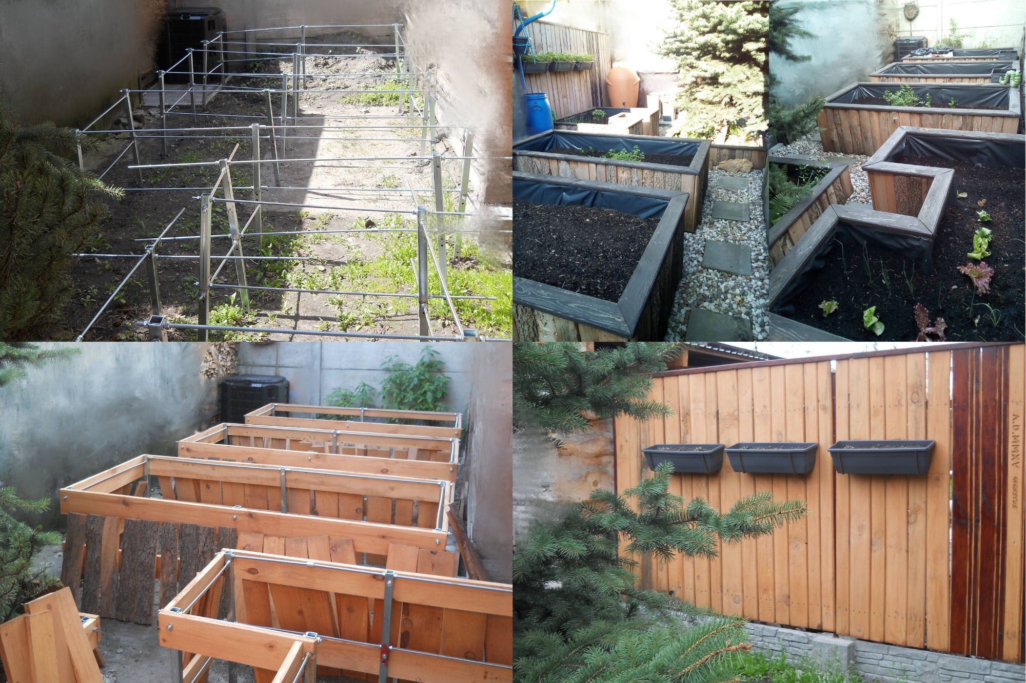 Kolaż czterech zdjęć przedstawia budowę podwyższonych grządek ogrodowych z różnych materiałów: metalu i drewna, w różnych stadiach zaawansowania prac, niektóre już obsadzone roślinami, z widocznymi...
