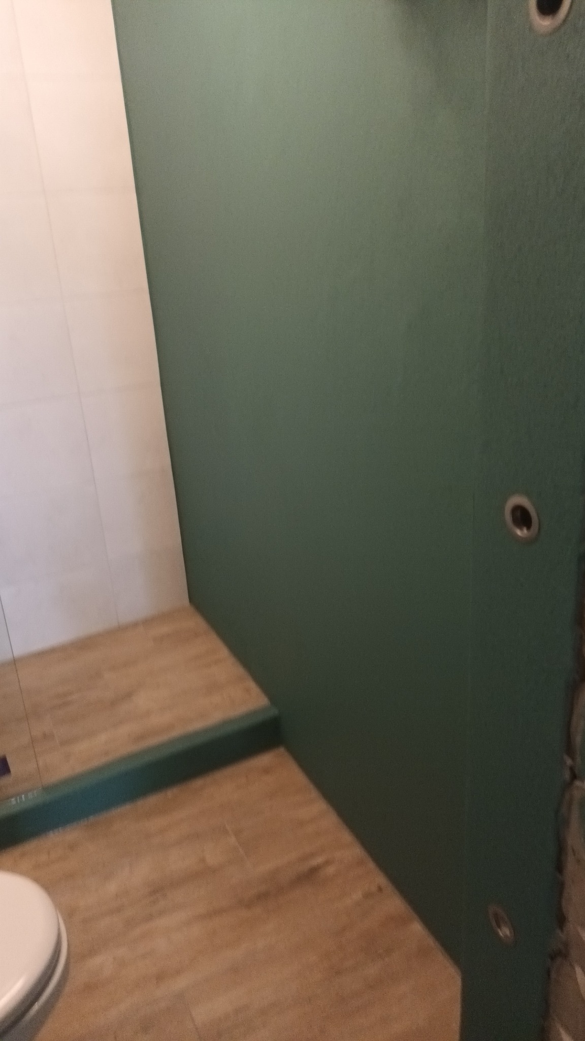 Fragment łazienki w trakcie prac: widoczne płytki imitujące drewno na podłodze, zielona, pomalowana ściana z zamontowanymi punktowymi lampkami oraz fragment białej ściany wyłożonej płytkami.