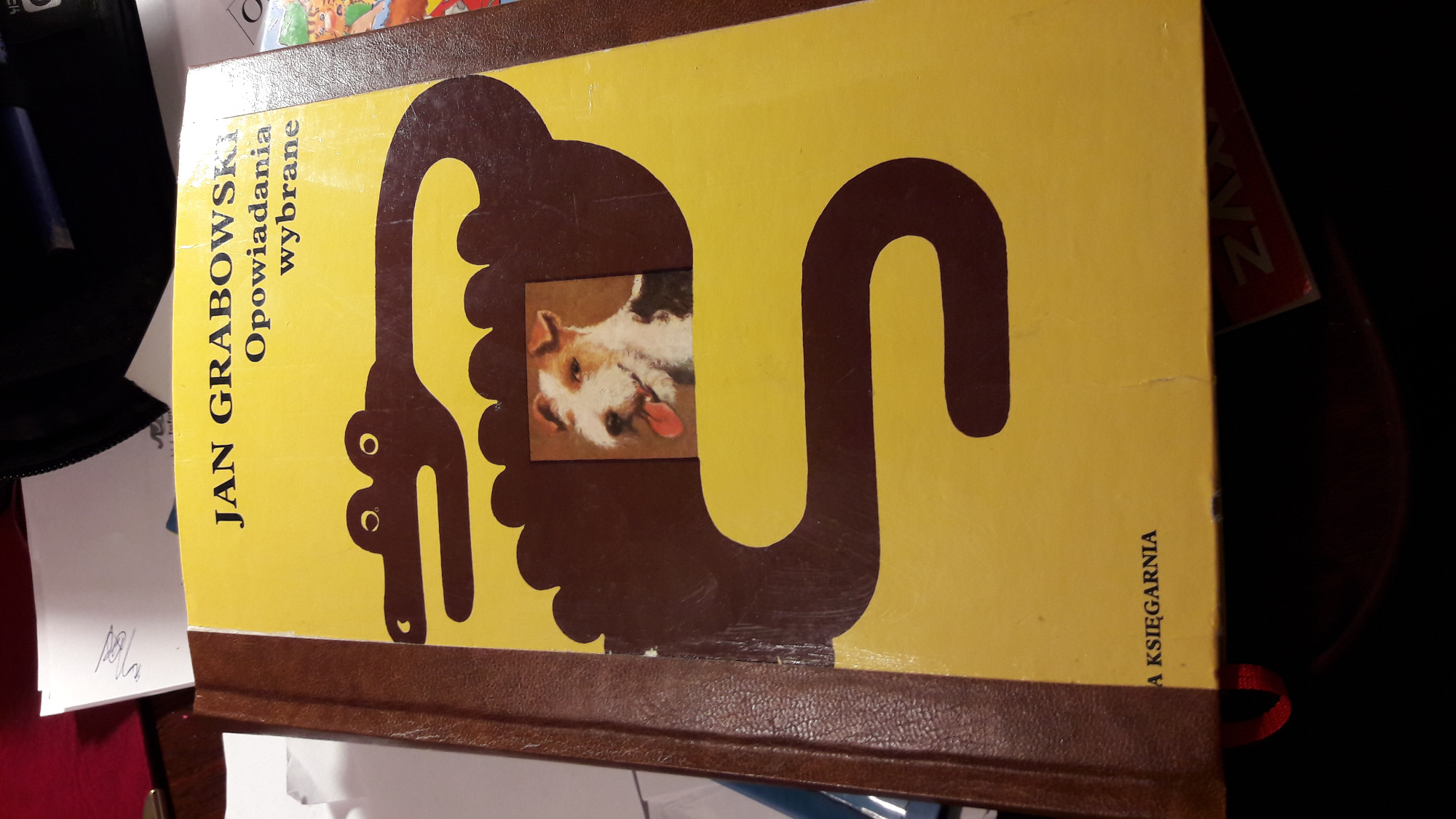 Naprawiona Książka w Oryginalną Okładkę