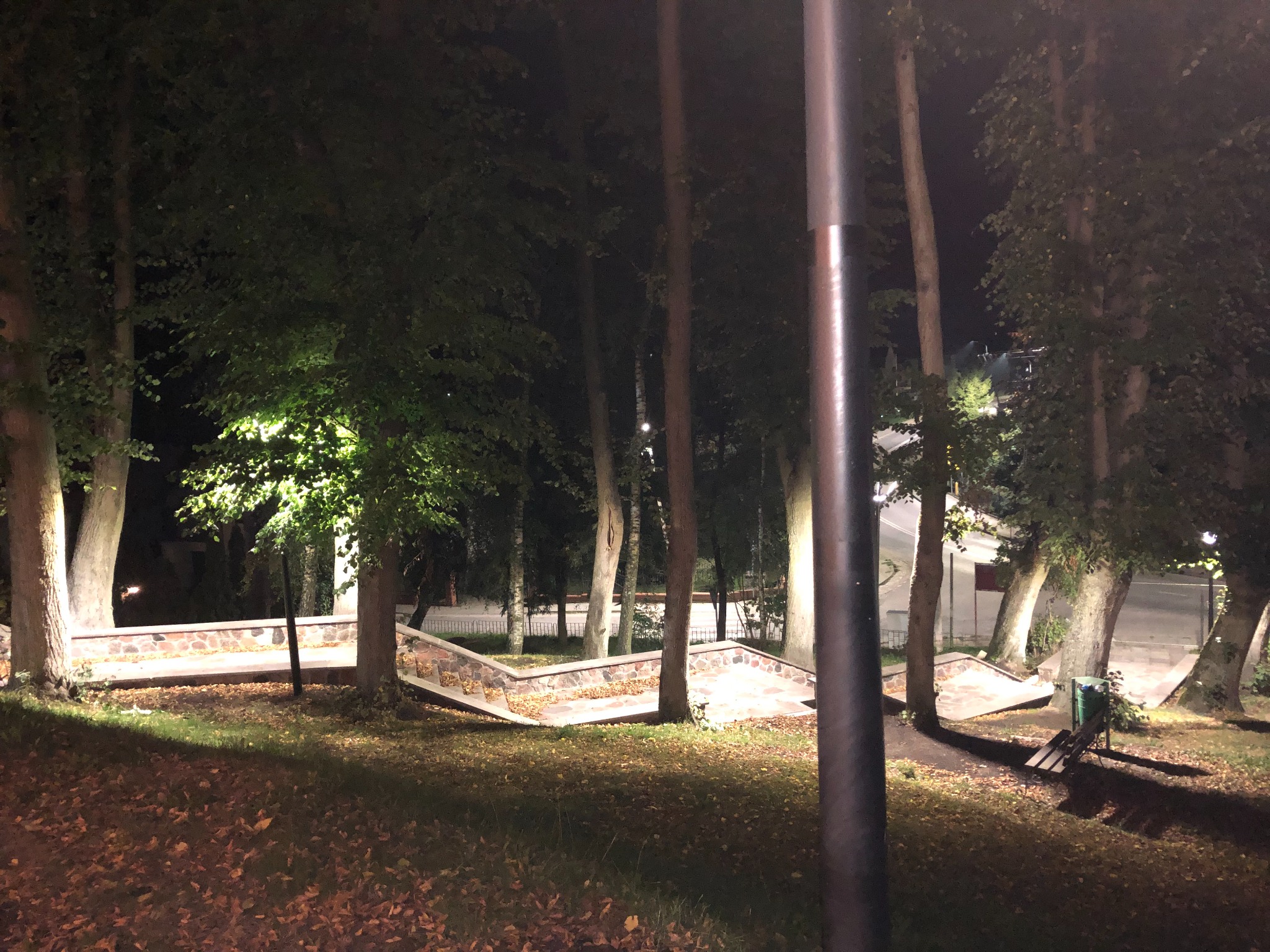 Oświetlona alejka z kamiennymi schodami w parku w Luzino, widok nocą, liście na trawie.