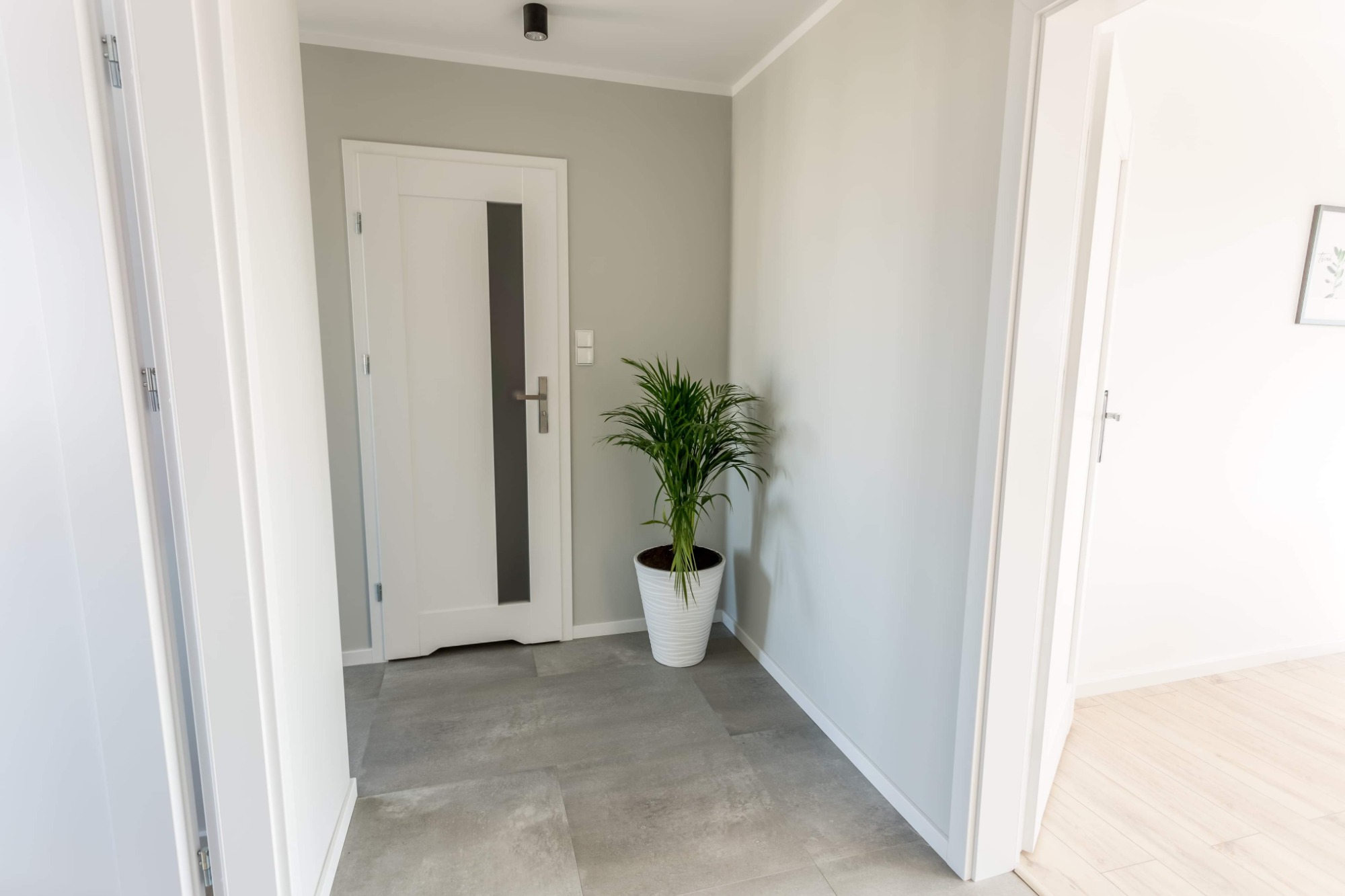 Jasne wnętrze przedpokoju z szarymi płytkami podłogowymi, białe drzwi z szybą, doniczka z zieloną rośliną, ściany pomalowane na jasny szary kolor, białe listwy przypodłogowe, czarny punktowy...