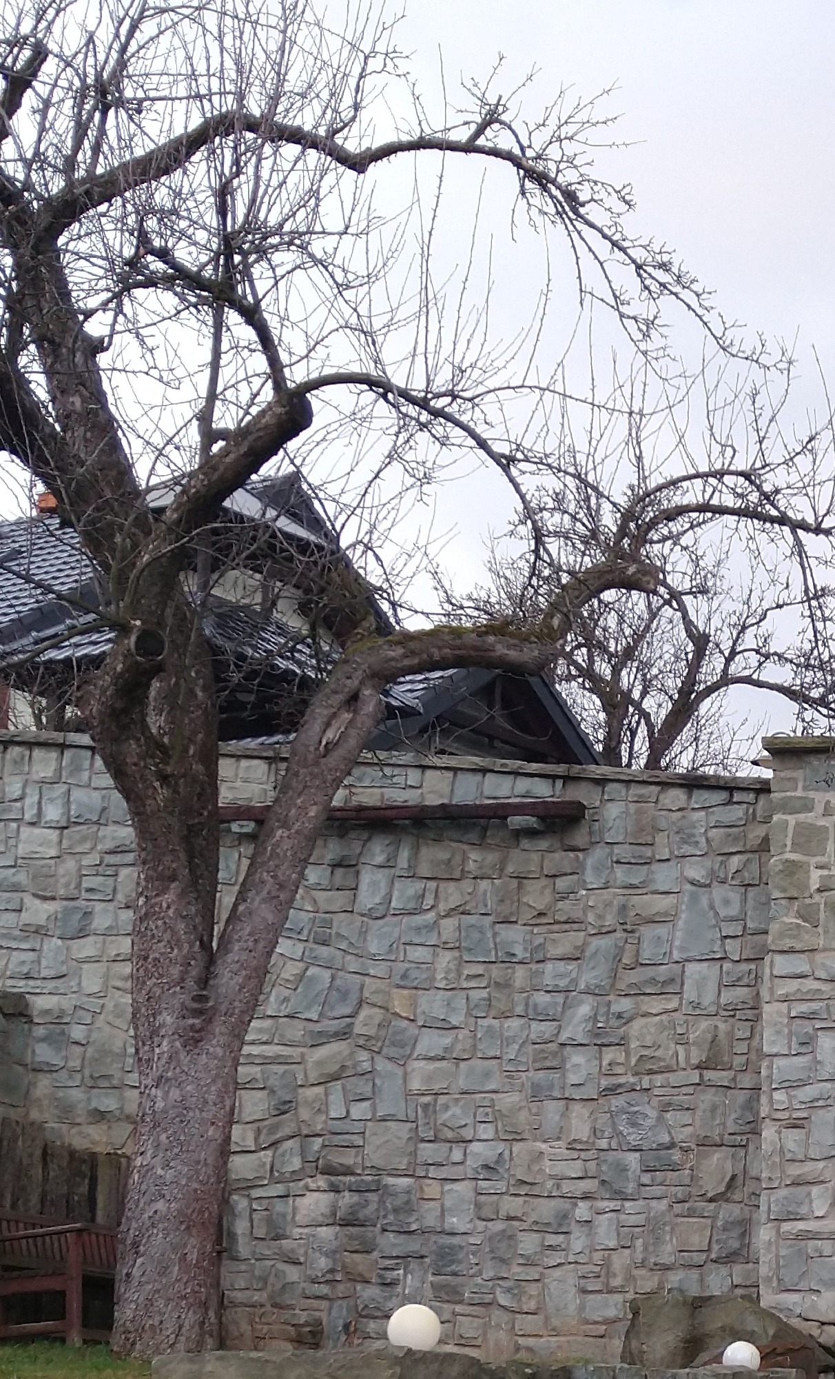 Kamienny mur z nieregularnych bloków, częściowo zasłonięty przez nagie drzewo, z widocznym fragmentem dachu domu w tle.