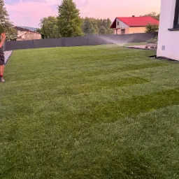 Świeżo ułożona trawa z rolki, nawadniana zraszacem na dużym, przydomowym trawniku, mężczyzna w roboczej odzieży przechadza się wzdłuż ogrodzenia, w tle domy z czerwonymi dachami.