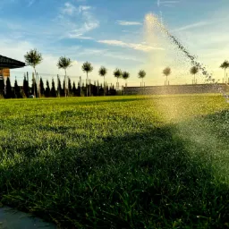 Automatyczny system nawadniania trawnika w akcji, zraszacz rozpyla wodę na tle zielonej trawy, drzew i błękitnego nieba o zachodzie słońca.