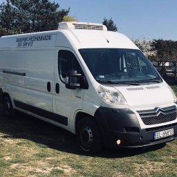 Sanpruch Dominik - Biały samochód dostawczy z napisem 'TRANSPORT-PRZEPROWADZKI' i numerem telefonu, zaparkowany na trawie w słoneczny dzień.