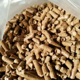 Jasnobrązowe granulki opału w przezroczystym worku, widoczne drobne nierówności i struktura drewna.