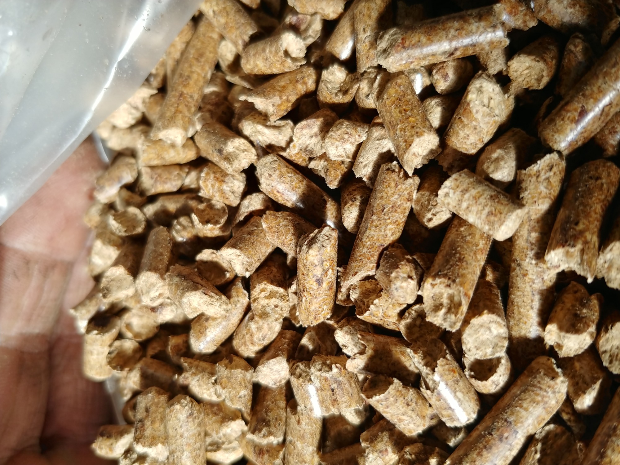 Jasnobrązowe pellety drzewne w przezroczystym worku foliowym, widoczna dłoń w tle, zbliżenie na strukturę pelletu.