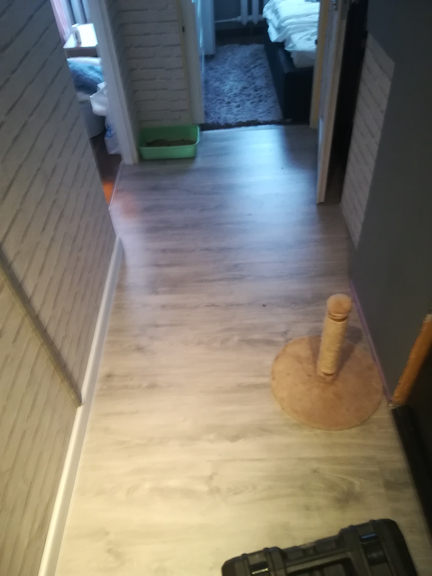 Korytarz z panelami podłogowymi w odcieniach szarości, widoczny koci drapak i skrzynka narzędziowa w rogu, w tle pokój z łóżkiem.