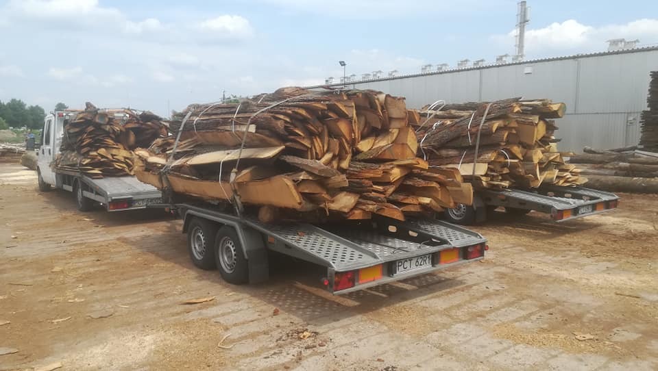 Laweta z przyczepami przewożąca pocięte drewno korowane, zabezpieczone białymi linami, na tle budynku przemysłowego i składowiska drewna.