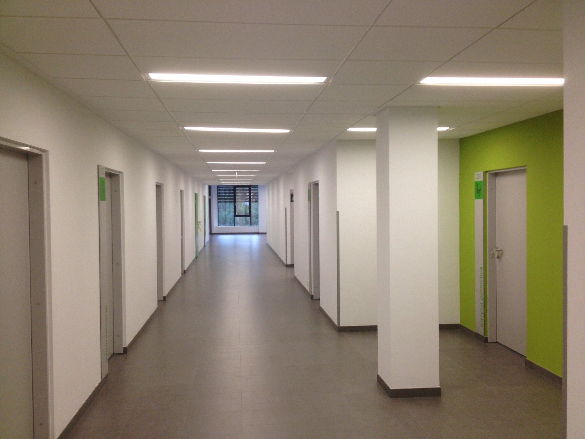 Długi korytarz biurowy z białymi ścianami, szarą podłogą i rzędem drzwi z zielonymi akcentami, oświetlony podłużnymi lampami sufitowymi, z widokiem na okno na końcu korytarza.