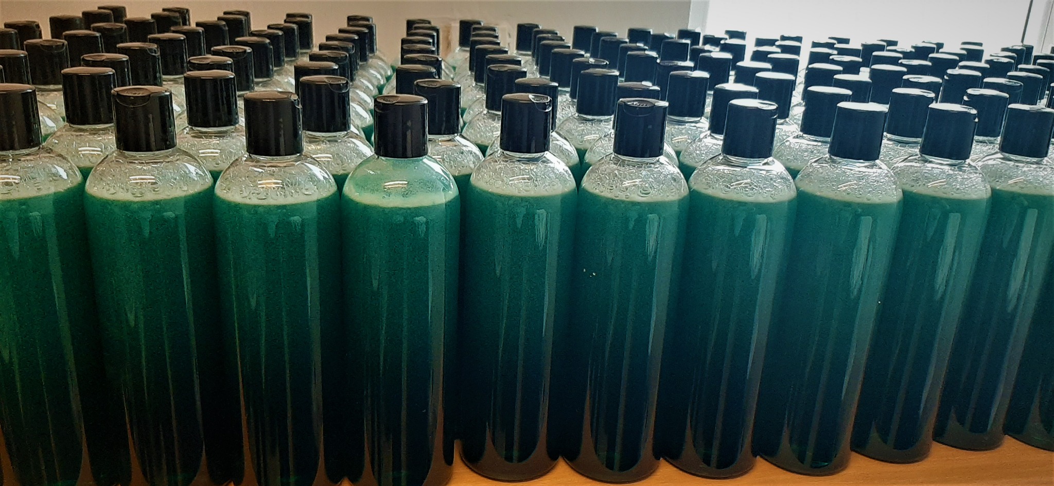 Rzędy przezroczystych butelek z czarnymi zakrętkami wypełnionych zielonym płynem, prawdopodobnie kosmetycznym, przygotowanych do użycia w salonie w Katowicach.
