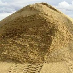 Yevgieni - Trociny Zrębka Drzewna Minsk