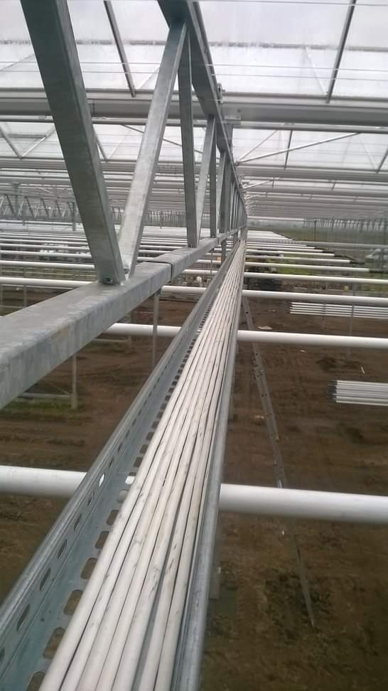 Rząd białych rur prowadzonych w metalowej perforowanej korycie, zamontowanych pod dachem szklarni, widok z dołu na konstrukcję nośną.