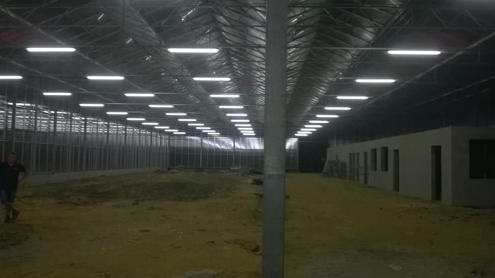 Wnętrze hali produkcyjnej z metalową konstrukcją dachu, oświetlone rzędem lamp jarzeniowych, widoczny fragment ściany i osoba w lewym dolnym rogu.