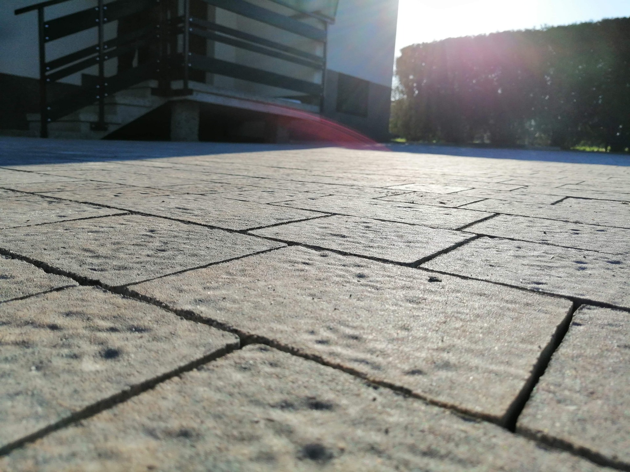 Szara kostka brukowa ułożona przed budynkiem z widocznymi schodami i zieleń w tle, oświetlona promieniami słonecznymi.