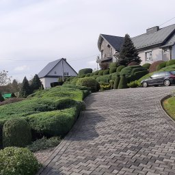 Lisgard - Producent Trawy z Rolki Buchcice