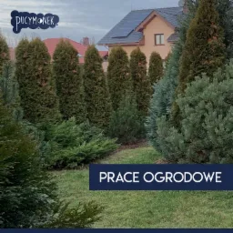 Prace ogrodnicze: wielkopowierzchniowe koszenie traw, żywopłotów, cięcie drzewek, wycinka, karczowanie.