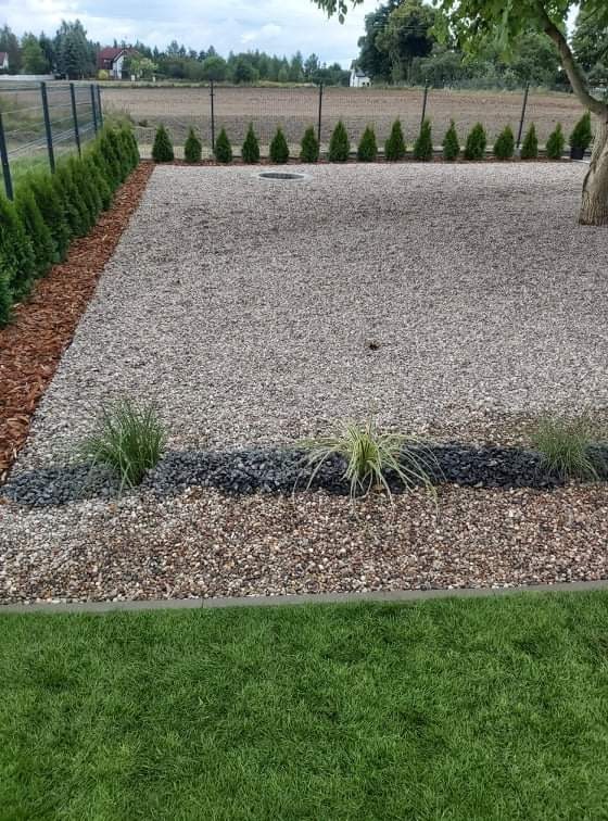 Uporządkowany ogród z wysypanym żwirem, ozdobną korą i niskimi tujami w tle, z widocznym trawnikiem w dolnej części kadru i drzewem po prawej stronie.