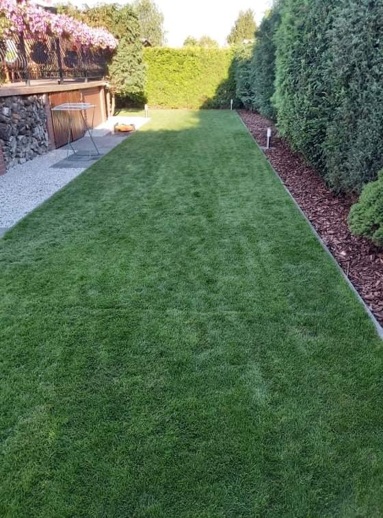 Widok na równo przystrzyżony, zielony trawnik z automatyczną kosiarką w tle, obrzeża wyłożone korą, wysokie tuje wzdłuż ogrodzenia.