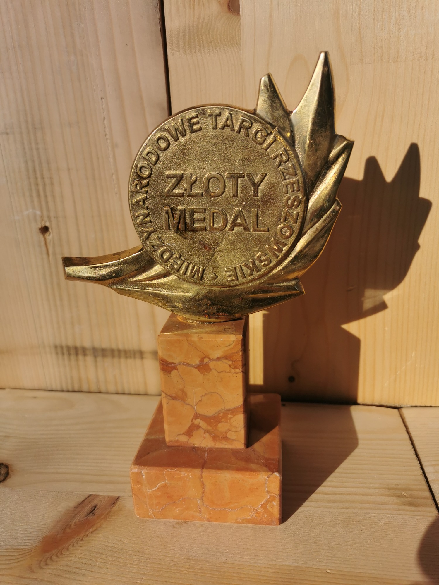 Złoty medal Narodowe Targi Rzeszowskie, umieszczony na marmurowym cokole, rzuca cień na drewniane tło.