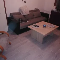 Salon z szarymi panelami podłogowymi, kanapą z poduszkami, drewnianym stolikiem kawowym z pilotami i szklaną kulą, oraz zegarem na ścianie.