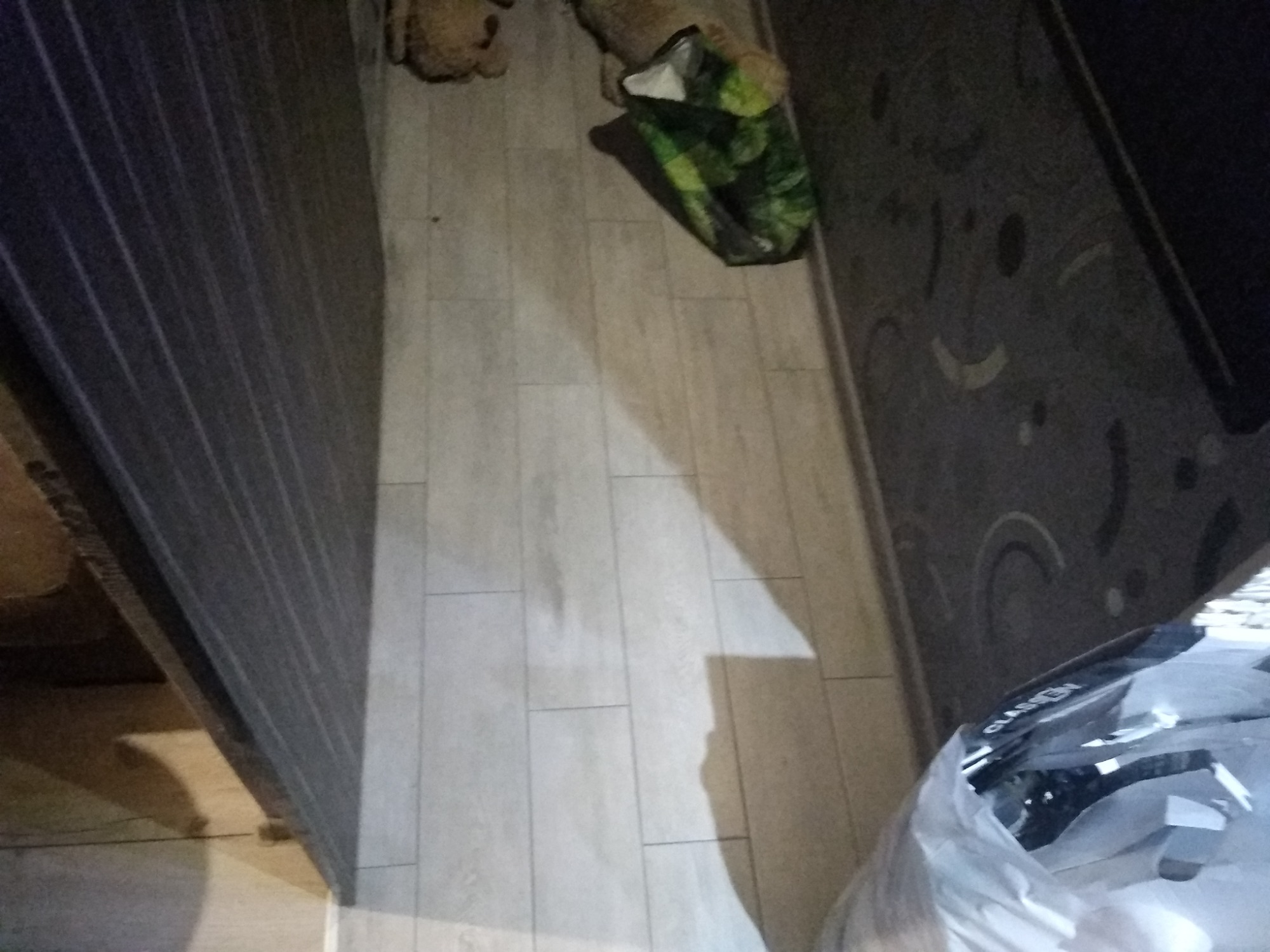 Ułożone panele podłogowe w jasnym odcieniu drewna, częściowo zasłonięte przez otwarte drzwi szafy i torbę z zakupami, pluszowy miś w rogu.