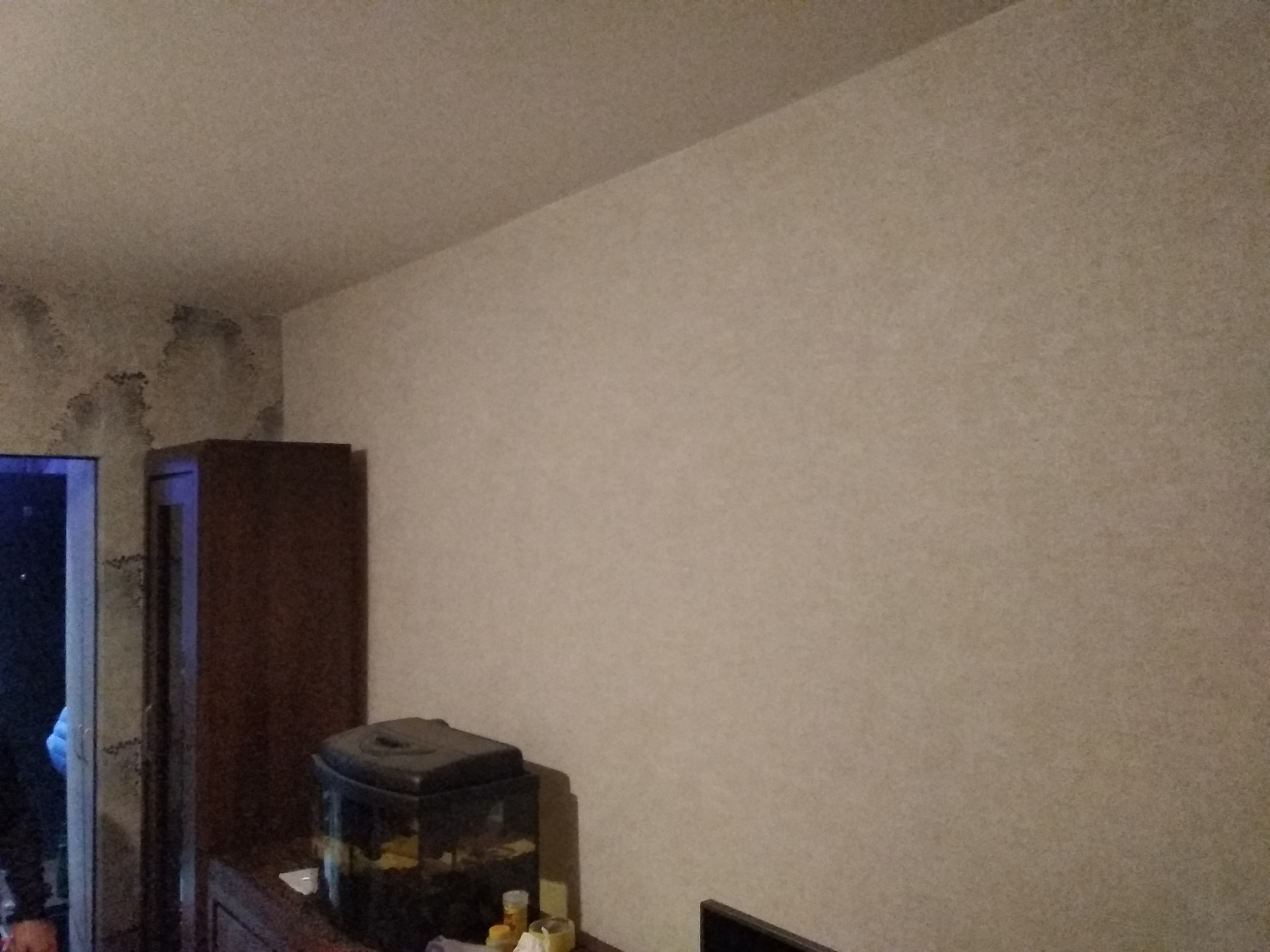 Ściana pomalowana na beżowo z widocznymi plamami wilgoci w rogu, obok ciemnobrązowej szafy i akwarium.