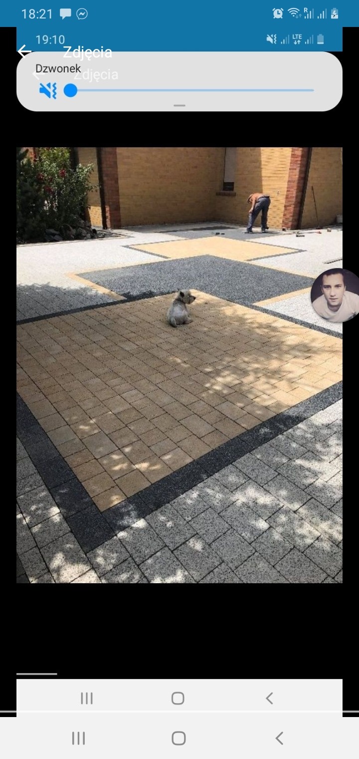 Ułożona kostka brukowa w odcieniach beżu i szarości z ciemną obwódką, na której siedzi mały pies, w tle widać pracownika podczas układania