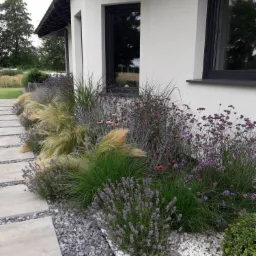 Nowoczesny ogród przydomowy z geometrycznymi ścieżkami z płyt betonowych wypełnionych szarym żwirem, rabaty z lawendą, trawami ozdobnymi i werbeną patagońską przy białej ścianie budynku z czarnymi...