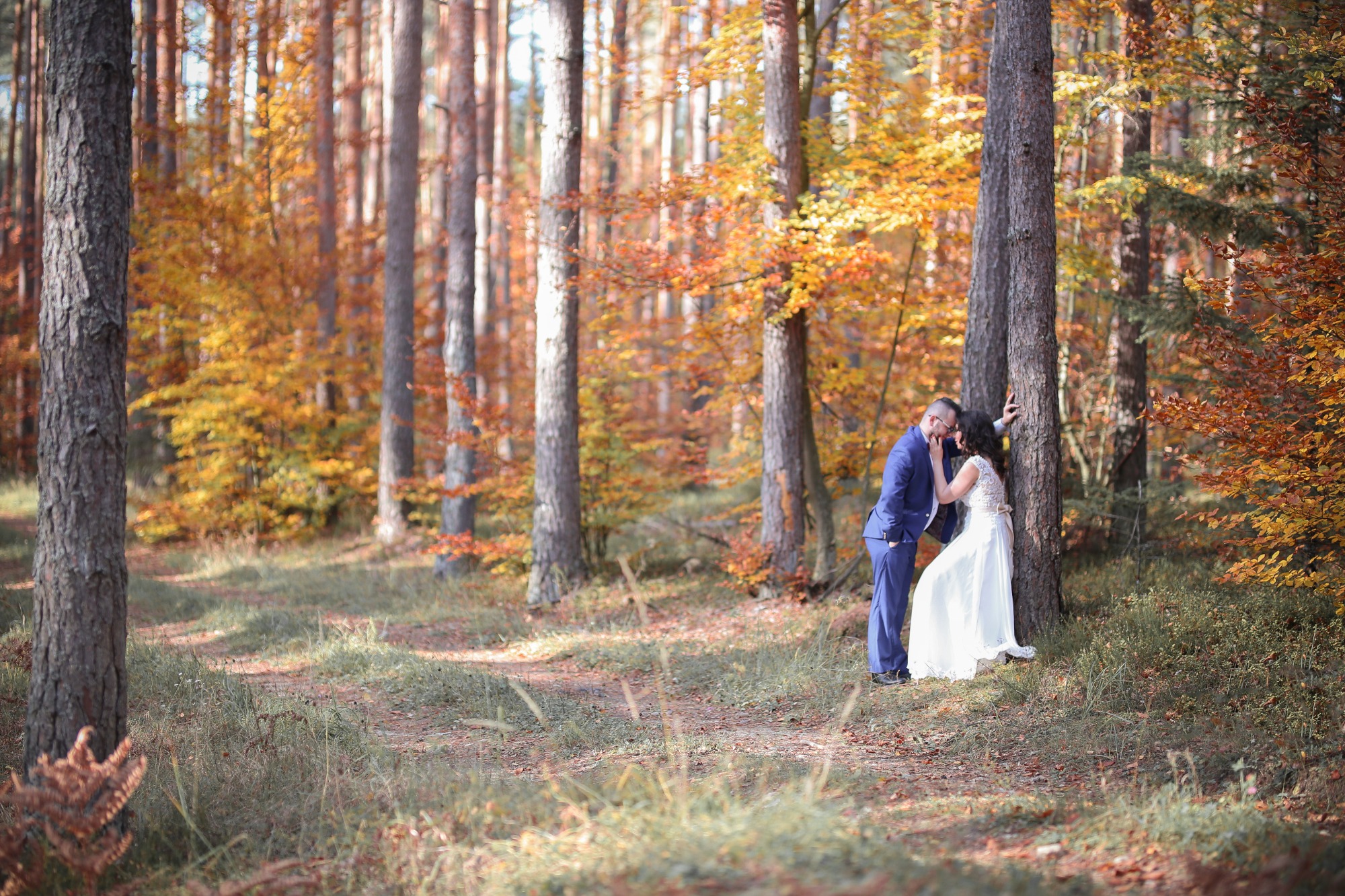 Para w strojach ślubnych w jesiennym lesie, opierająca się o drzewo, delikatne pocałunki, ciepłe światło słoneczne przesączające się przez korony drzew.