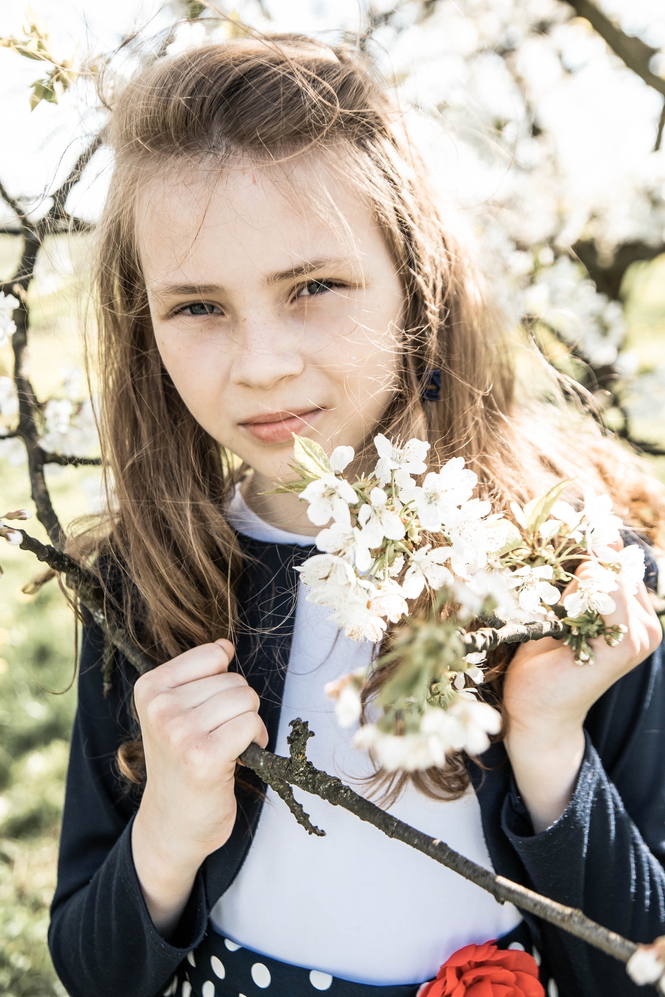Portret dziewczynki z piegami, trzymającej gałązkę kwitnącej wiśni na tle rozmytych białych kwiatów i zieleni.